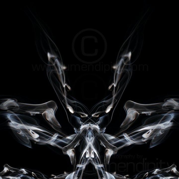 trigger happy & winged.jpg